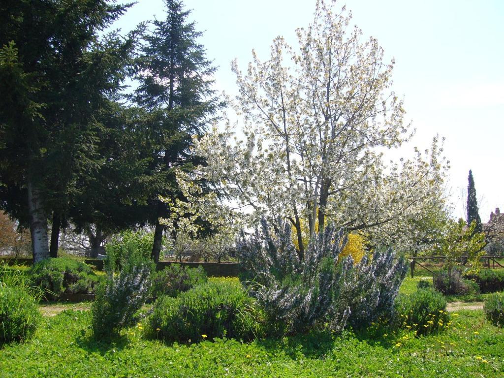 Agriturismo San Giacomo Pitigliano Eksteriør billede