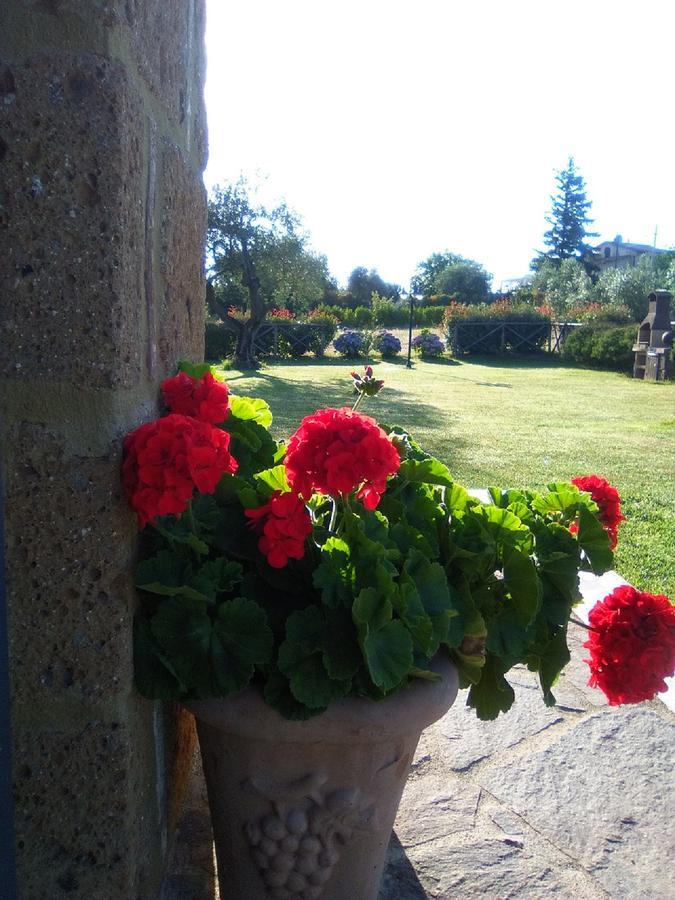 Agriturismo San Giacomo Pitigliano Eksteriør billede