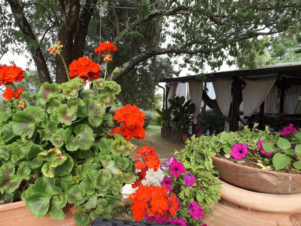 Agriturismo San Giacomo Pitigliano Værelse billede